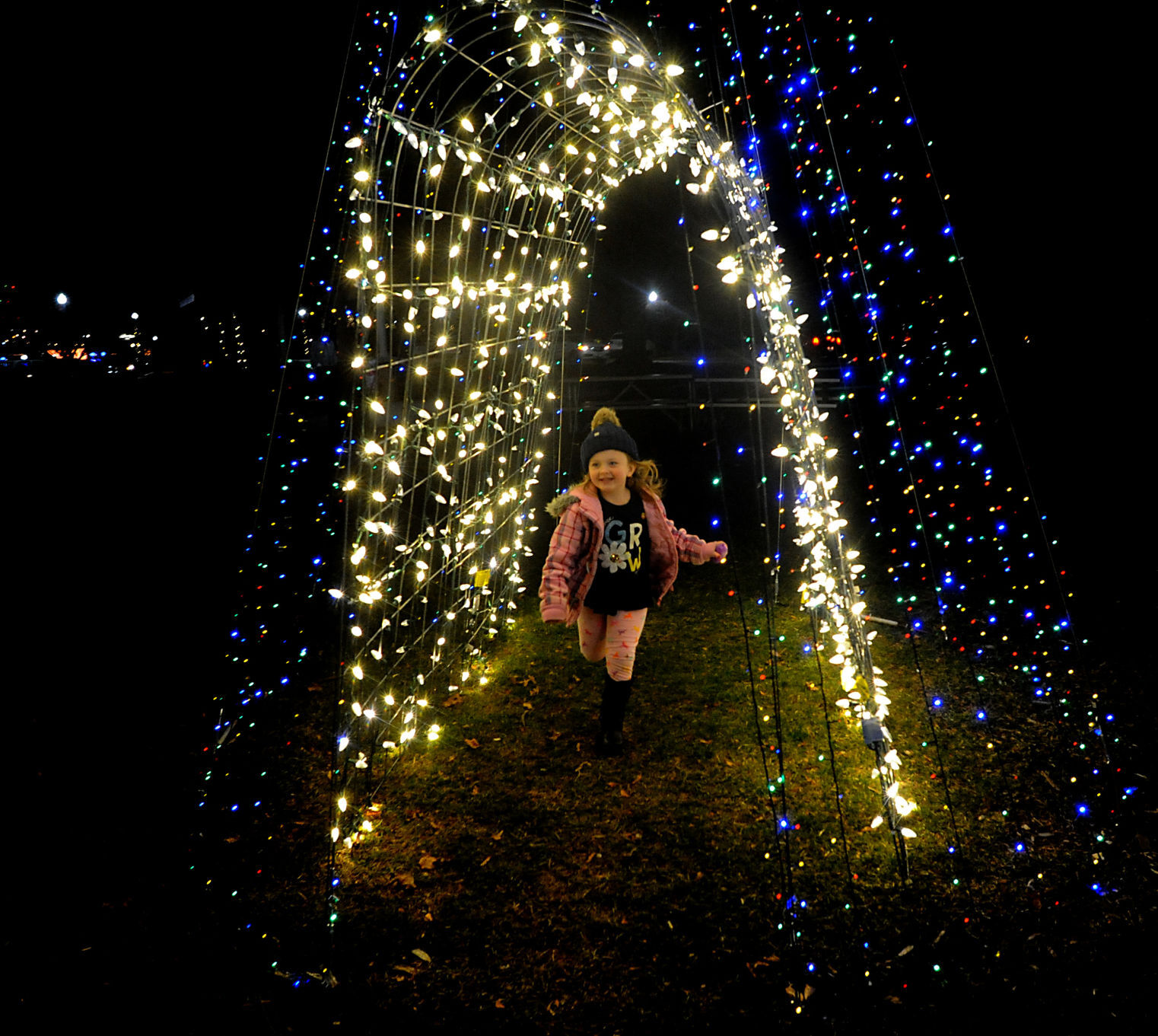 Lake Geneva tree lighting